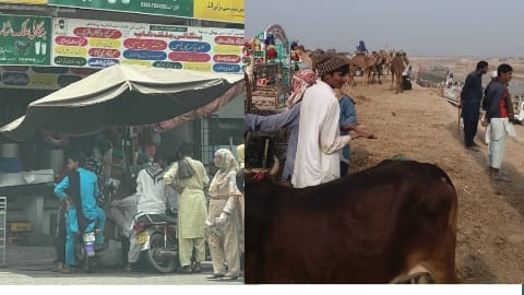What is the current status of Pakistan's economy? And economic status